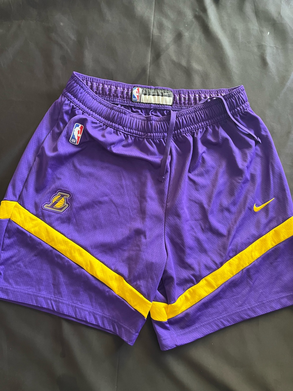 Nike Purple and Yellow Lakers Athletic Shorts